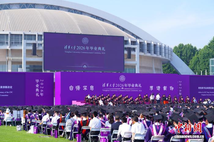 狗子28：您的专属数字娱乐伙伴 - 狗子28