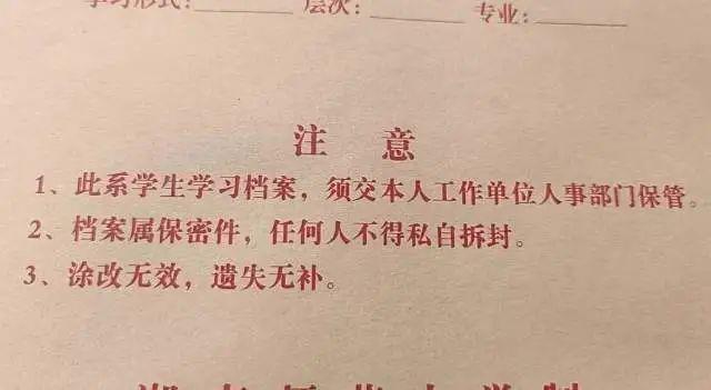 狗子28：您的专属数字娱乐伙伴 - 狗子28