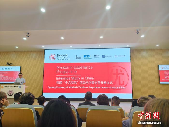 狗子28：您的专属数字娱乐伙伴 - 狗子28