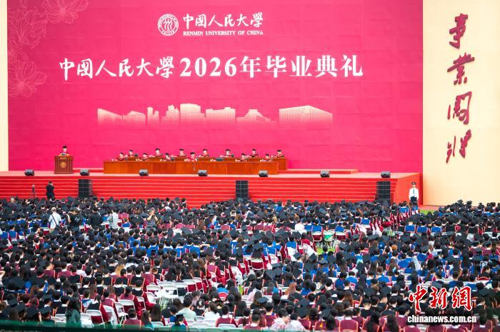 狗子28：您的专属数字娱乐伙伴 - 狗子28