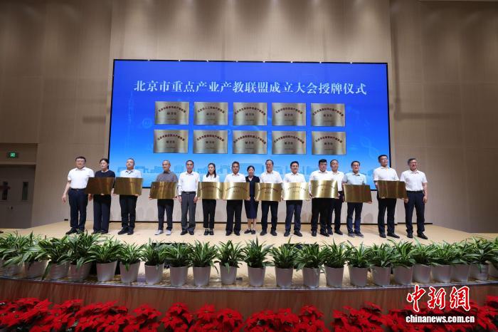 狗子28：您的专属数字娱乐伙伴 - 狗子28